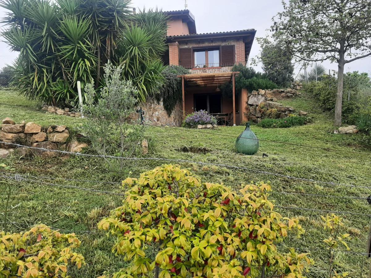 Apartamento Maremma Che Vista! Campagnatico Exterior foto