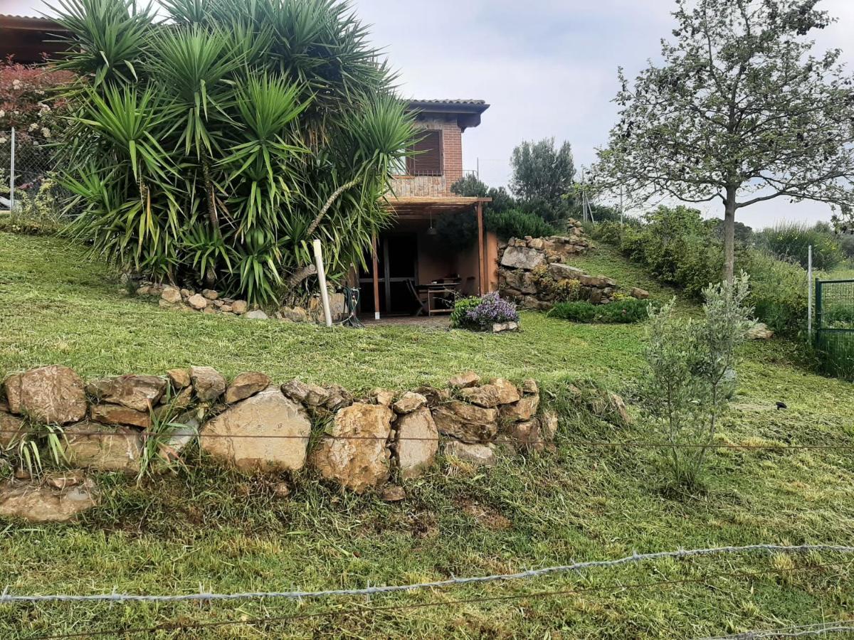 Apartamento Maremma Che Vista! Campagnatico Exterior foto
