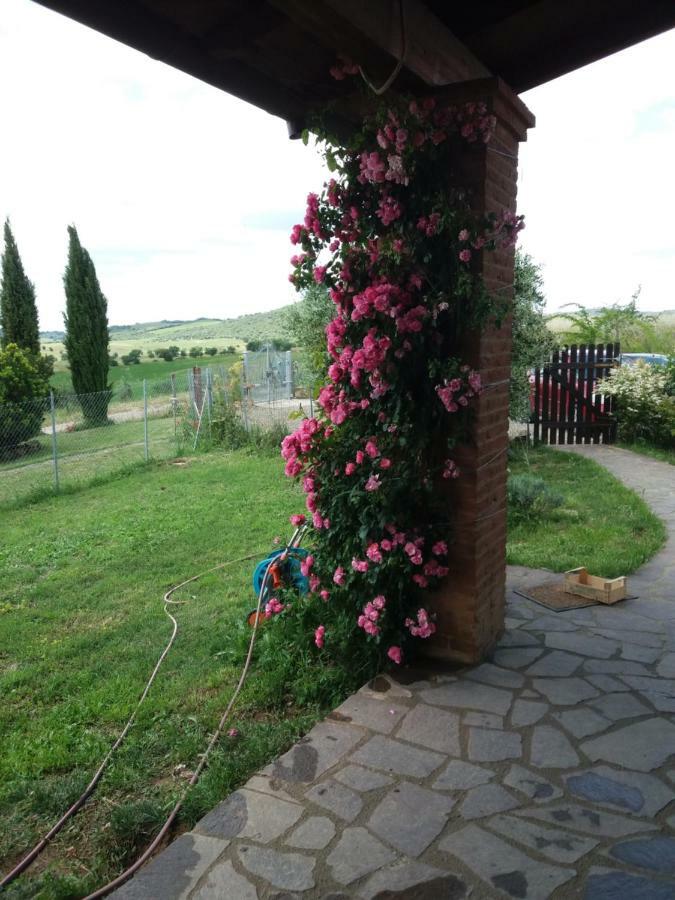Apartamento Maremma Che Vista! Campagnatico Exterior foto