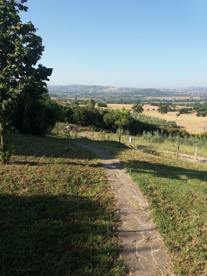Apartamento Maremma Che Vista! Campagnatico Exterior foto