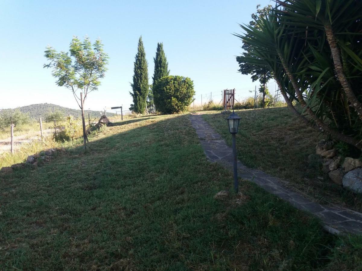 Apartamento Maremma Che Vista! Campagnatico Exterior foto