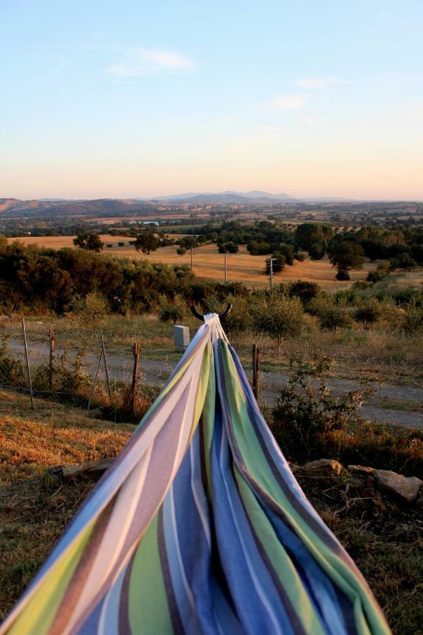 Apartamento Maremma Che Vista! Campagnatico Exterior foto