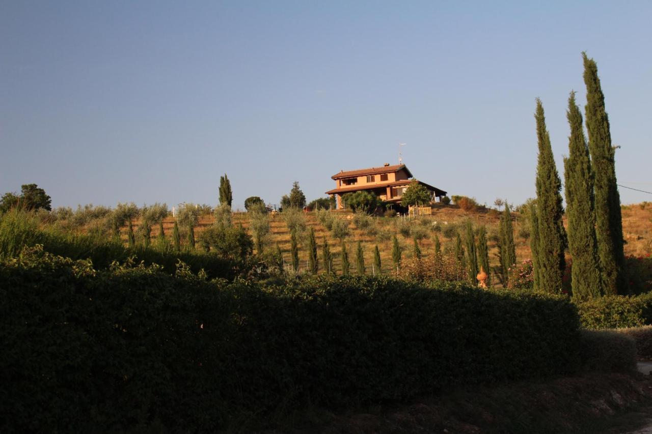 Apartamento Maremma Che Vista! Campagnatico Exterior foto
